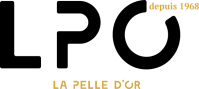 logo.png-626x280