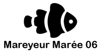 fish-4-removebg-preview
